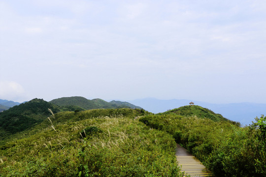 山脈 大圍山