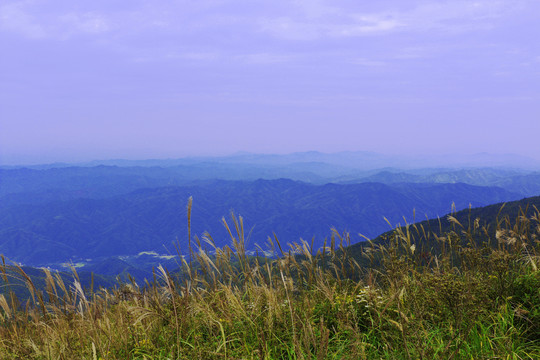 大圍山 山脈