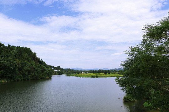 河流 田園風(fēng)光 金黃稻田