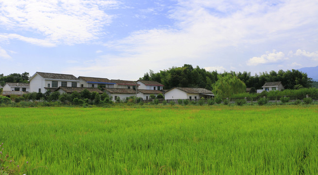 鄉(xiāng)村 村莊