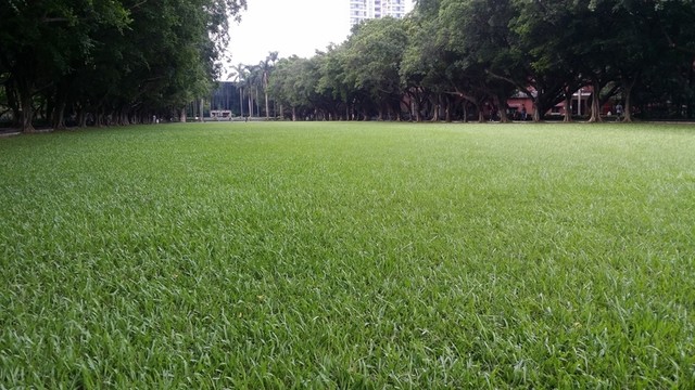 中山大學(xué)校園