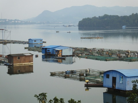 環(huán)保網(wǎng)箱養(yǎng)魚
