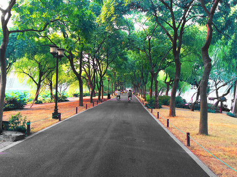 林間公路