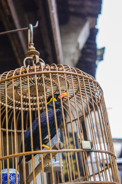 鳥籠