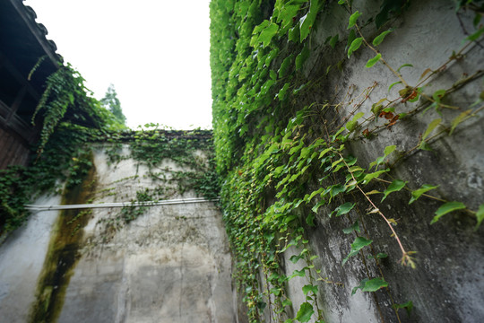古鎮(zhèn)民居天井
