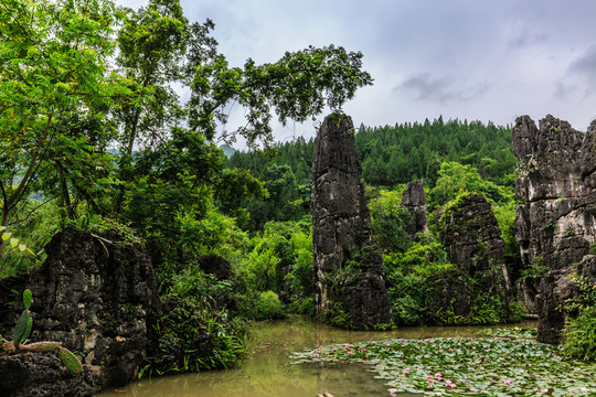 天星橋景區(qū)