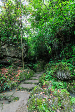 天星橋景區(qū)