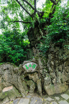 天星橋景區(qū)