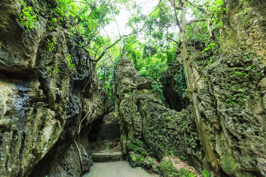 天星橋景區(qū)