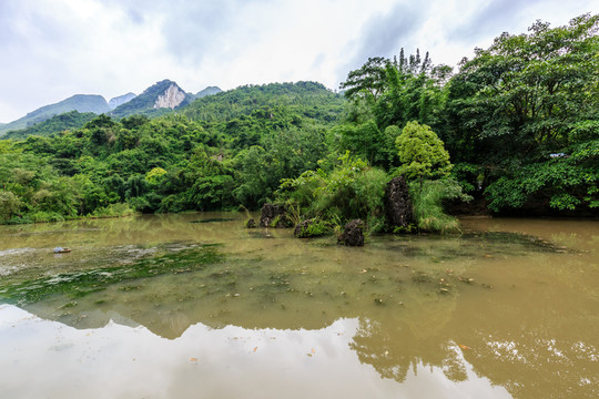 天星橋景區(qū)