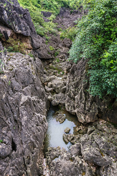 天星橋景區(qū)