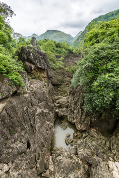 天星橋景區(qū)