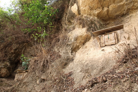 山崖蜂窩