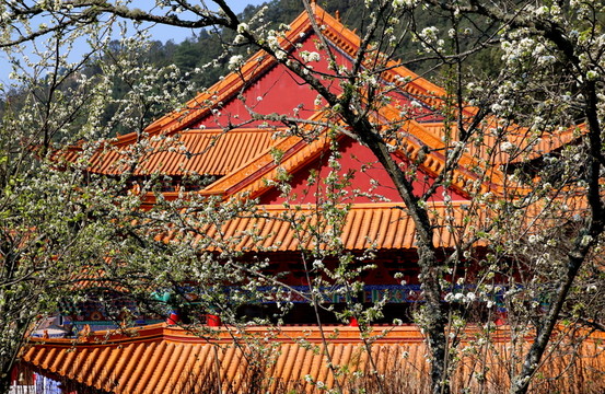 寺院 花