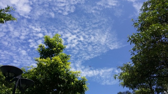 藍(lán)天白云