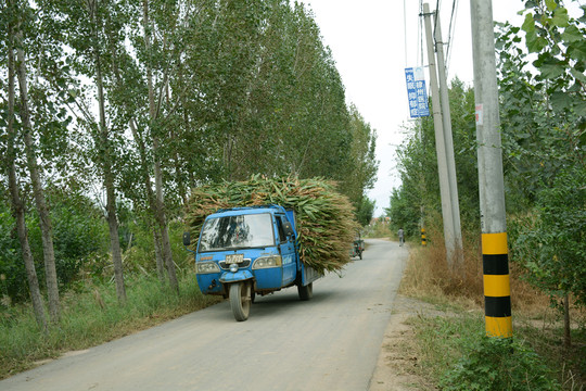 鄉(xiāng)村公路