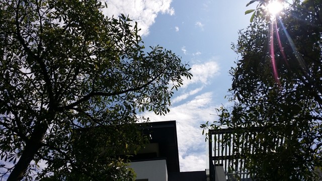從化溫泉?jiǎng)e墅