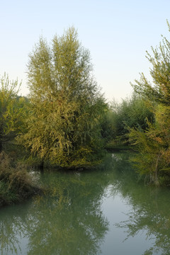 小河