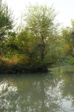 小河