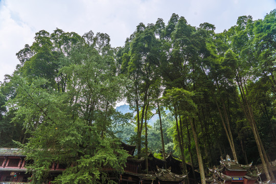 青城山大門(mén)