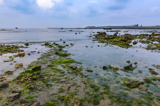漁村海岸線 海草 礁石 漁船