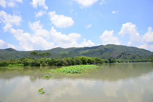 藍(lán)天白云
