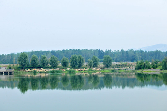 河岸風(fēng)景 沿河風(fēng)光