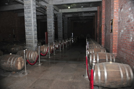 酒桶 酒窖 酒莊