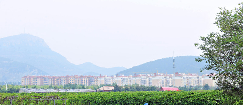 樓群 建筑群 房地產(chǎn)