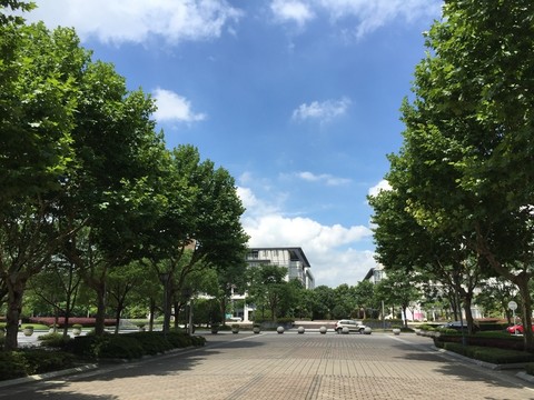 校園景觀