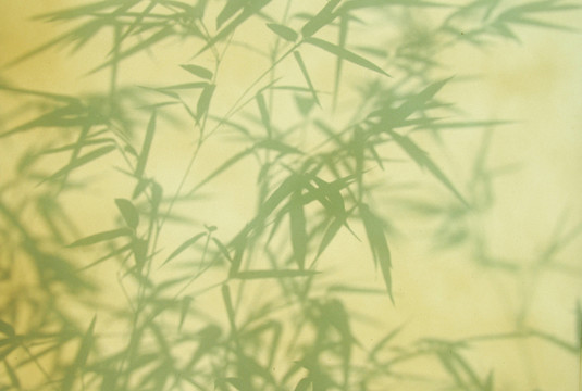 復(fù)古泛黃竹子剪影