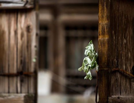 晉中南
