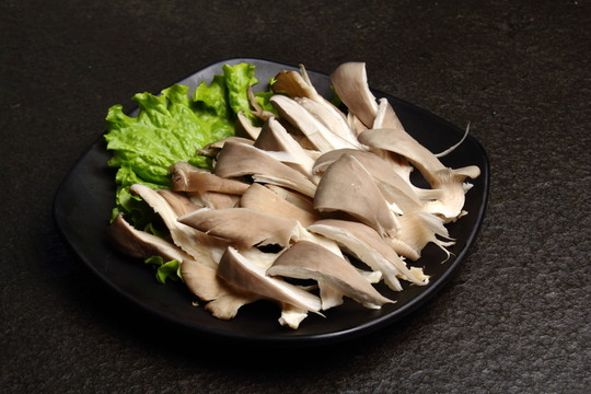 蘑菇