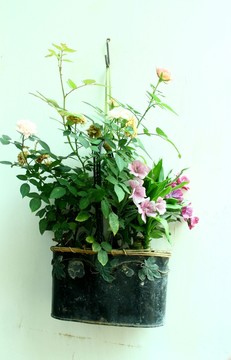 花籃