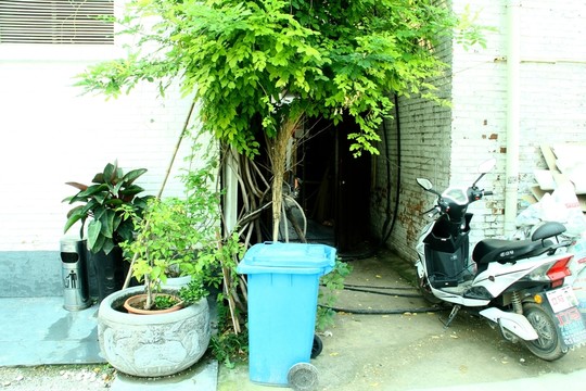 798藝術(shù)區(qū)小景