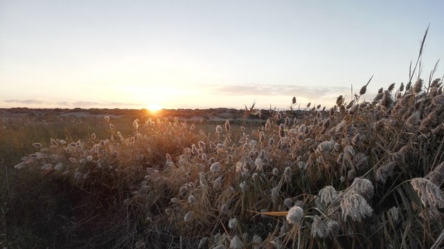 夕陽(yáng)