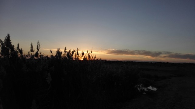 夕陽