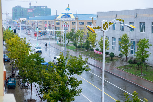 秋雨