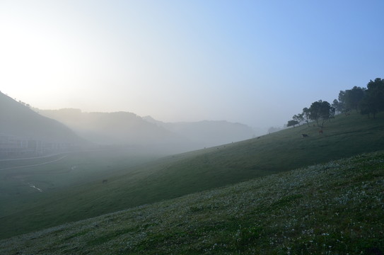 草原日出