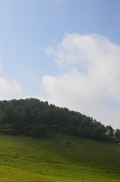 關山草原