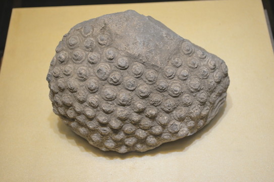 石雕殘片