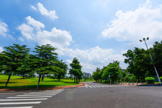 城市道路