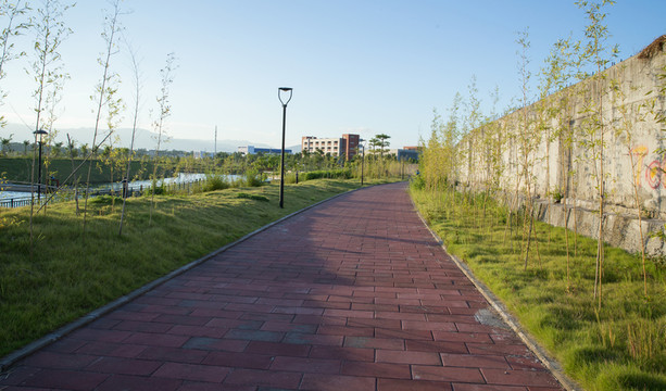 公園 小路 休閑 綠化