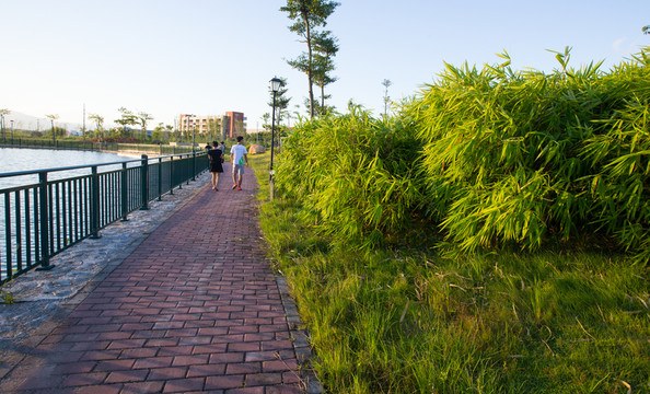 公園 小路 休閑路