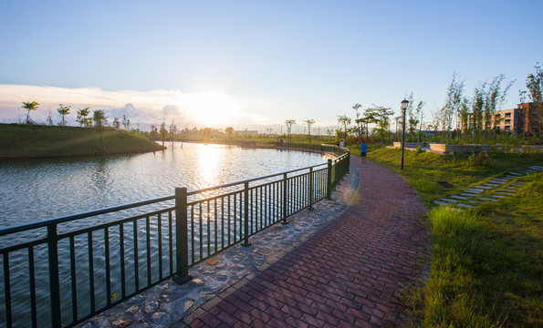 公園 小路 休閑 綠化