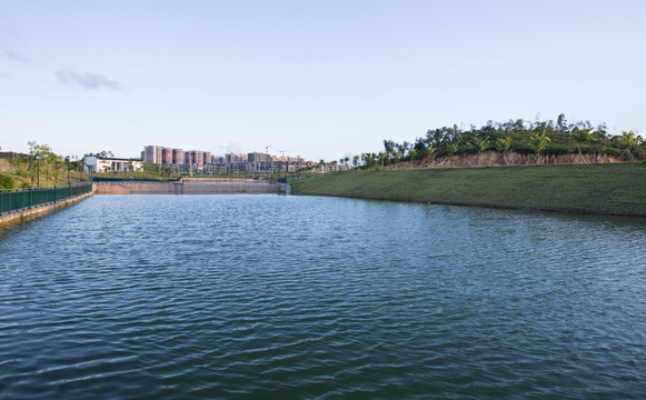 公園 小路 休閑 綠化