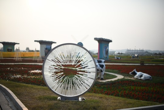 楓林花海