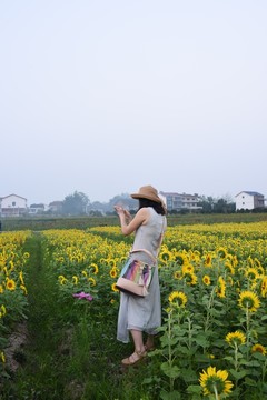 賞花的人