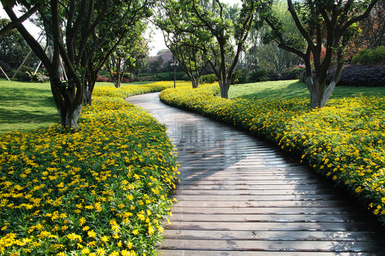 社區(qū)花園小路