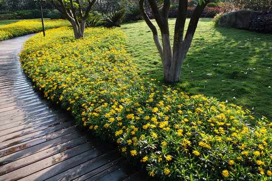 社區(qū)花園